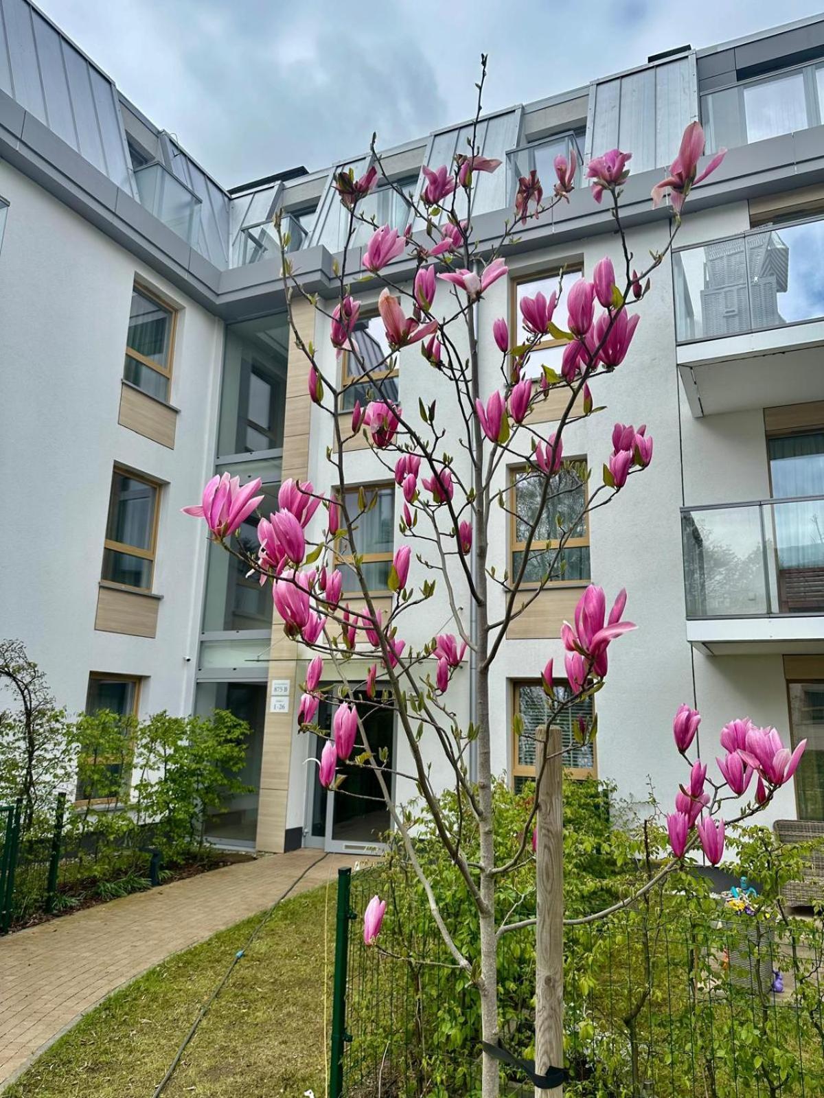 Nice Sopot Ngoại thất bức ảnh